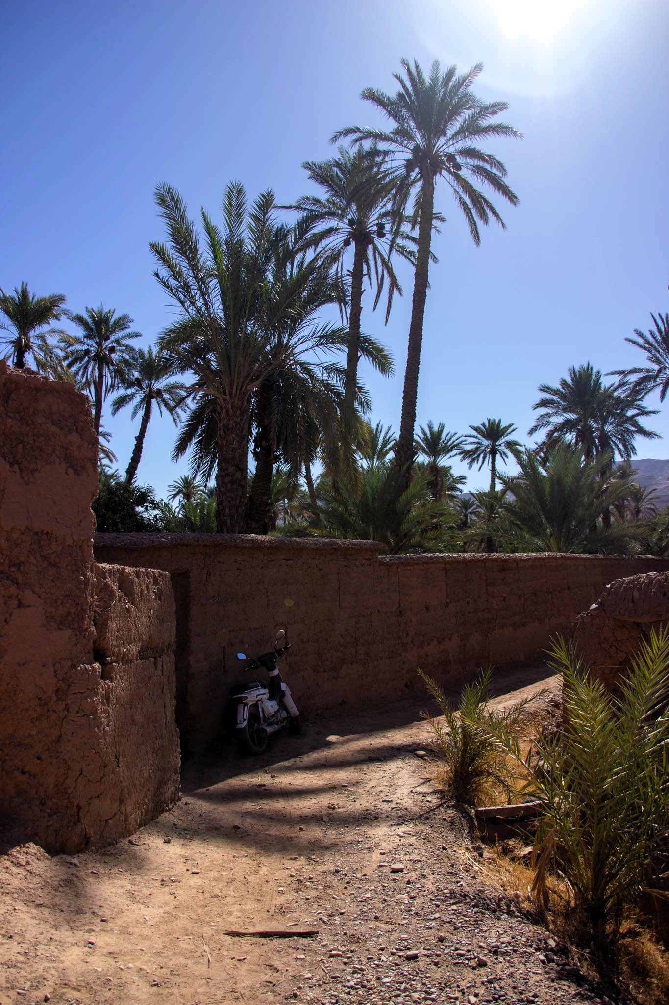 Tapiz de palma y lana Mezguita - Tapiz - ETHNICA DECO