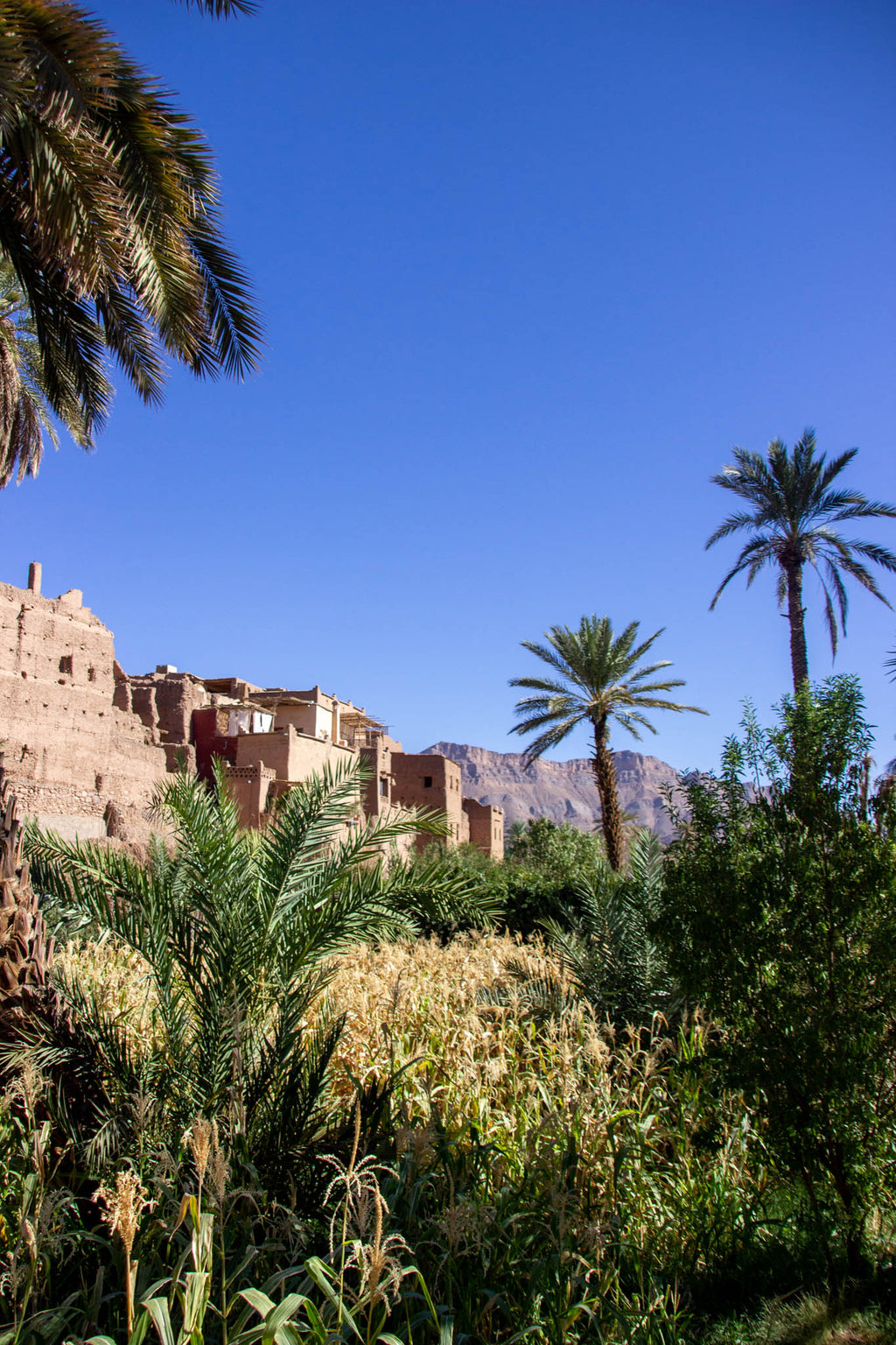 Tapiz de palma y lana Mezguita - Tapiz - ETHNICA DECO